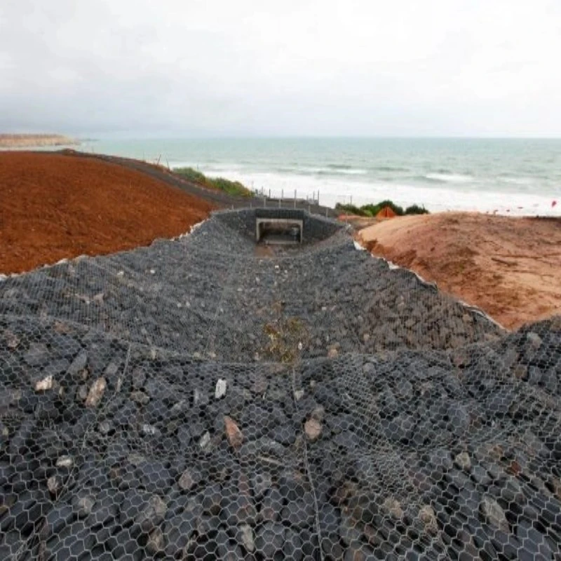 Philippines Gabion Wire Mesh Roll For Fencing