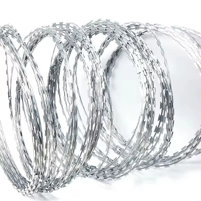 product-800-800